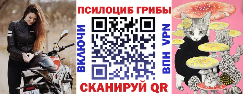 hydra ссылки  Ершов  Псилоцибиновые грибы Cubensis  наркотики 